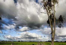 辉达娱乐官网:专题次轮57顺位!知名选秀网站预测25届NBA选秀:杨瀚森被魔术选中.