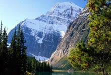 马威24+12三球20分 奇才8人上双赛季横扫黄蜂.