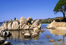 U20国主帅久尔杰维奇:首战赢球至关重要.